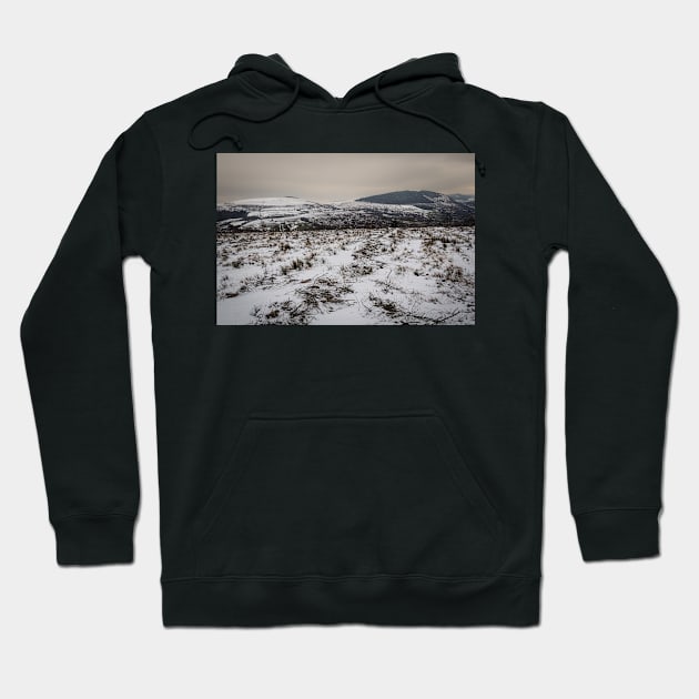 Powdered Hills - 2013 Hoodie by SimplyMrHill